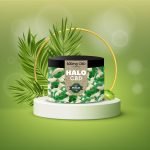 Green Apple (500MG Regular)